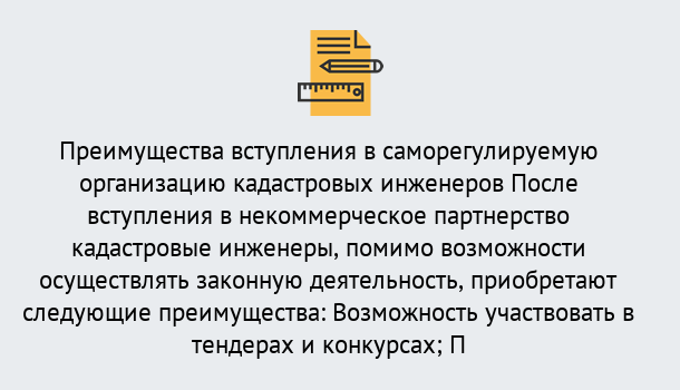 Почему нужно обратиться к нам? Тулун Что дает допуск СРО кадастровых инженеров?