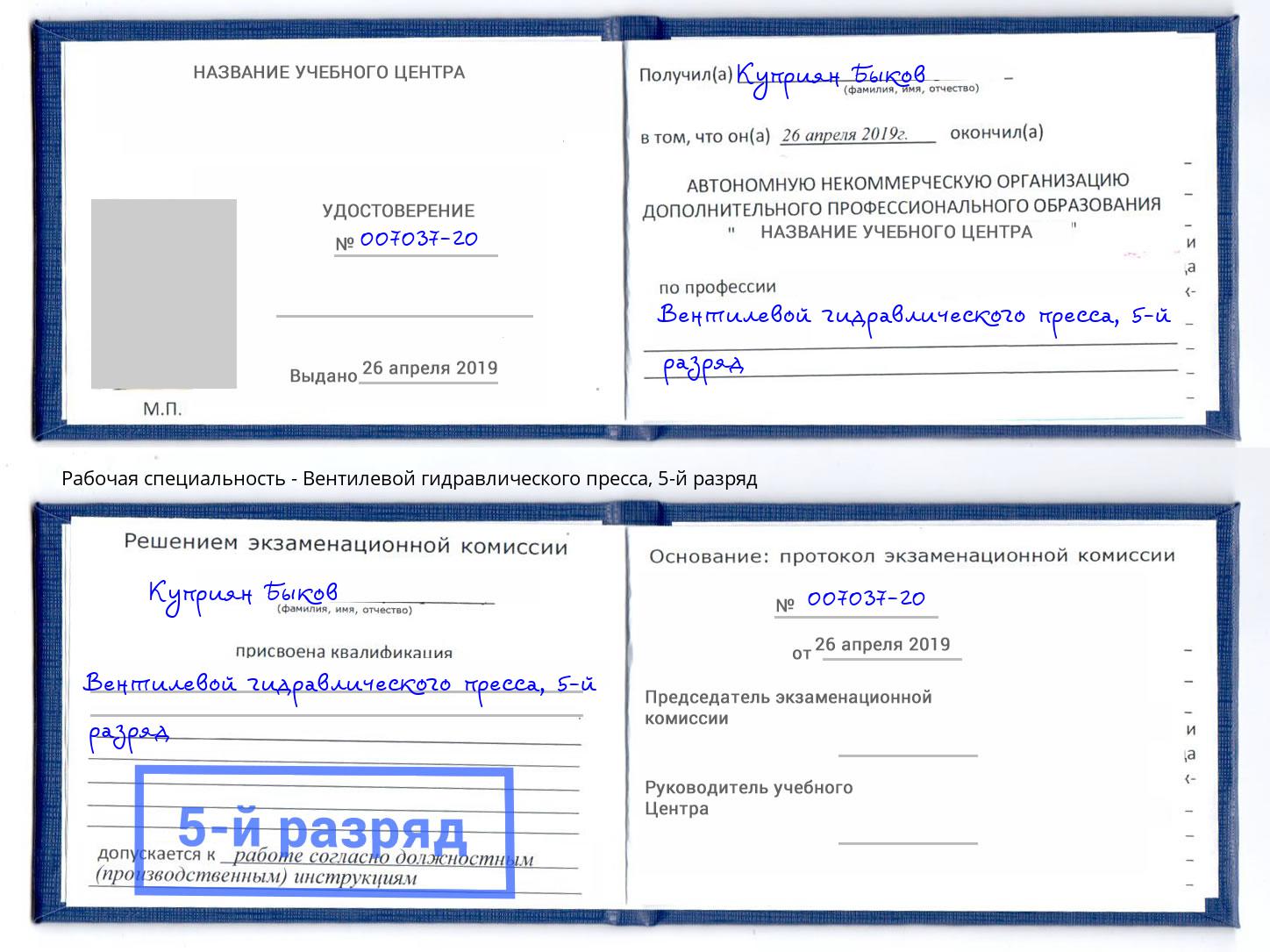 корочка 5-й разряд Вентилевой гидравлического пресса Тулун