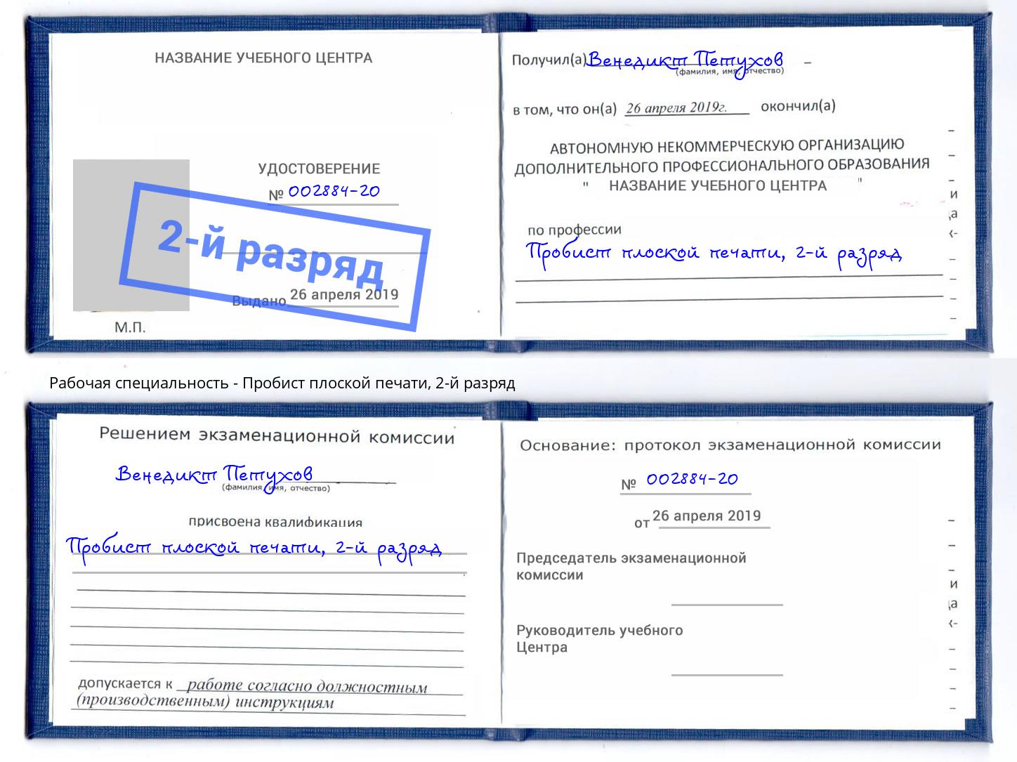 корочка 2-й разряд Пробист плоской печати Тулун